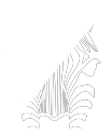 Swiss website logo designer
